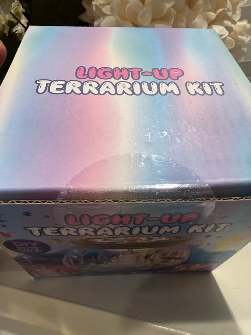 Light-Up Terrarium Kit for‎ Kids - Purple DIY Night Light Craft